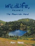 Wildlife, Volume 2: The Mountain Pond