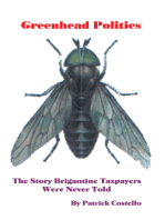 Greenhead Politics: The Story Brigantine Taxpayers Were Never Told