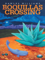 Boquillas Crossing