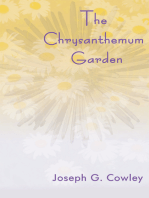 The Chrysanthemum Garden