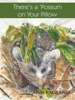 There’S a 'Possum on Your Pillow