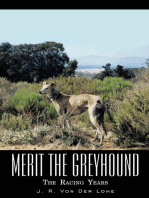 Merit the Greyhound: The Racing Years