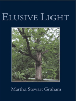 Elusive Light: A Collection of Poetry and Short Stories