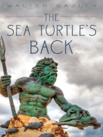 The Sea Turtle's Back