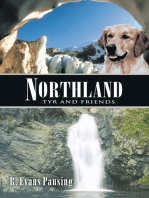 Northland: Tyr and Friends