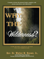 Why the Wilderness?: God Sends Angels <I>After</I> We Go Through!