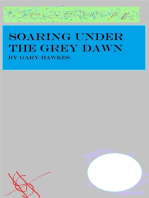 Soaring Under the Grey Dawn