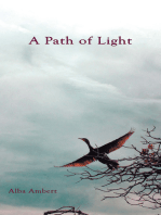 A Path of Light