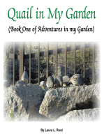 Quail in My Garden: Book One of Adventures in My Garden