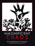 Magnificent Chaos