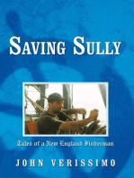 Saving Sully