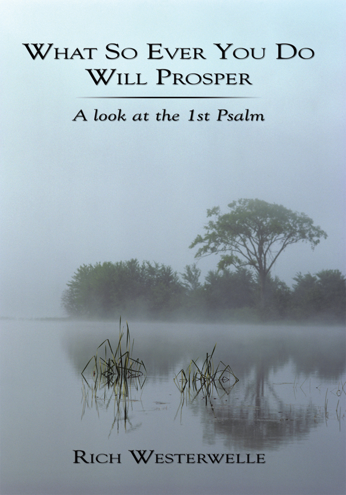 What so Ever You Do Will Prosper by Rich Westerwelle (Ebook) - Read ...