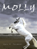 Molly: Mare of the Mist