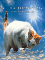 K.C. of a Thousand Trails: The Cat Who Saved My Life