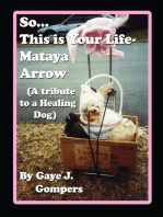 So...This Is Your Life- Mataya Arrow: (A Tribute to a Healing Dog)