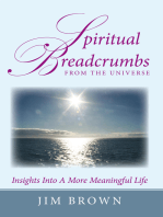 Spiritual Breadcrumbs from the Universe: Insights into a More Meaningful Life