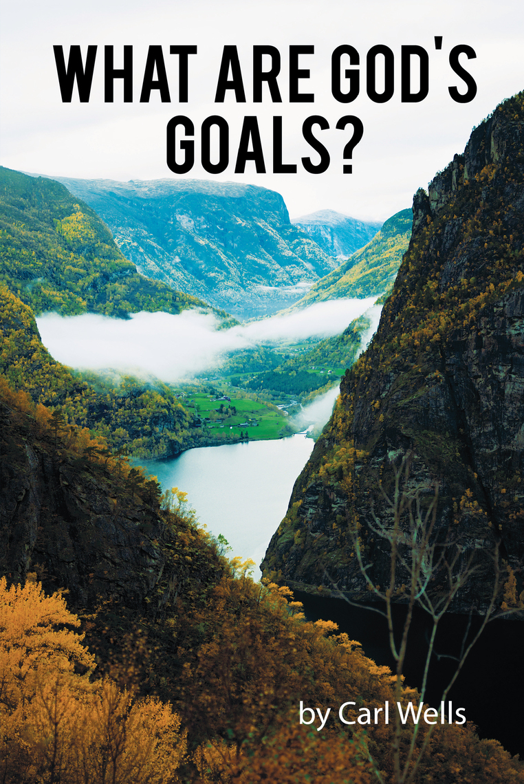What Are God's Goals? by Carl Wells Book Read Online