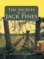 The Secrets of the Jack Pines