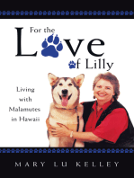 For the Love of Lilly: Living with Malamutes in Hawaii