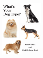 What's Your Dog Type?