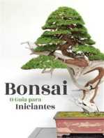 Bonsai, o Guia para Iniciantes