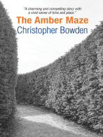 The Amber Maze