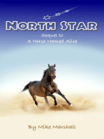 North Star