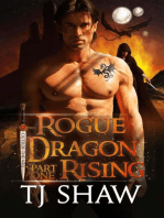 Rogue Dragon Rising, part one