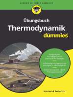 Übungsbuch Thermodynamik für Dummies