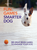 Fun and Games for a Smarter Dog