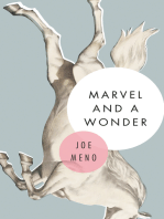 Marvel and a Wonder