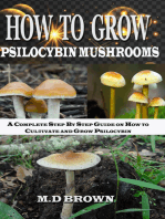 How to Grow Psilocybin Mushrooms: A Complete Step by  Step Guide on How to Cultivate and Grow Psilocybin Mushrooms