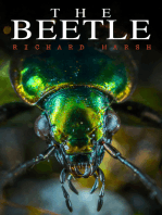 The Beetle: A Supernatural Thriller Novel