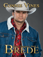 Brede, Rodeo Romance Book 2