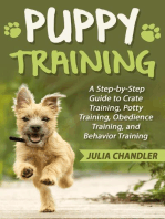 Puppy Training