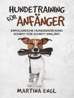 Hundetraining für Anfänger