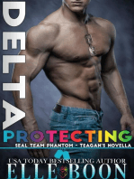 Delta: Protecting Teagan: SEAL Team Phantom Series, #6