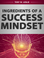 Ingredients Of a Success Mindset