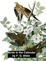 Birds in the Calendar