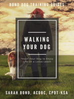 Walking Your Dog: Bond Dog Training Guides