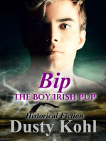 Bip, the Boy Irish Pup