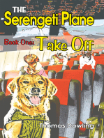 The Serengeti Plane