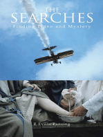 The Searches: Finding Plane and Mystery