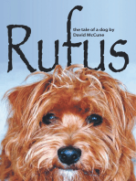 Rufus: The Tale of a Dog
