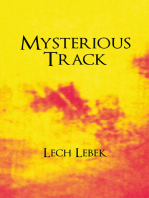 Mysterious Track