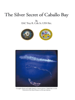The Silver Secret of Caballo Bay
