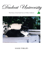 Dadcat University: The Story of the Feral Cats at Umass-Amherst