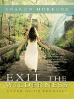 Exit the Wilderness