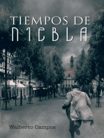 Tiempos De Niebla