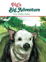 Pig's Big Adventure